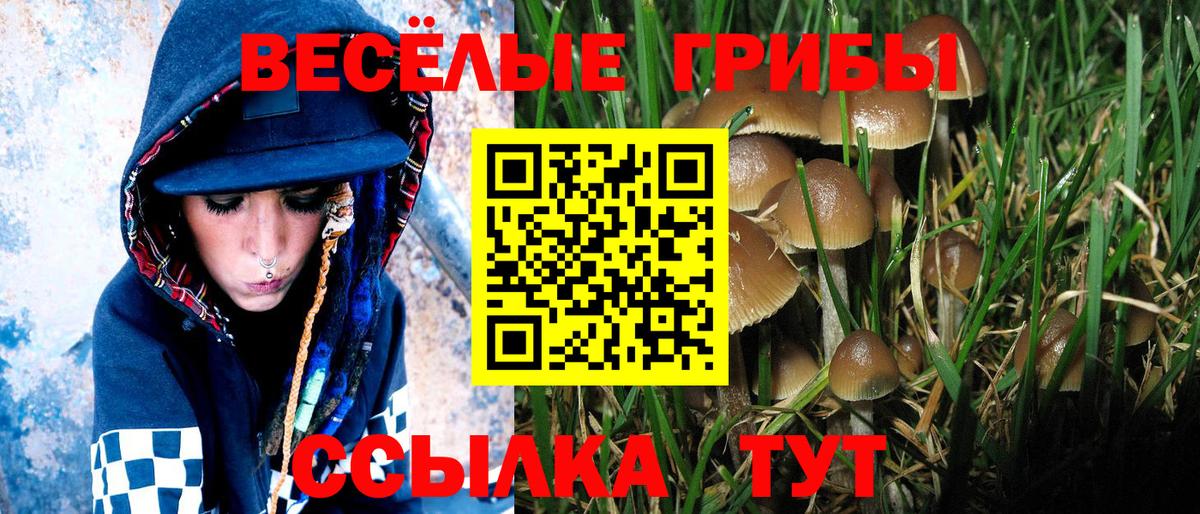 Псилоцибиновые грибы MAGIC MUSHROOMS Астрахань