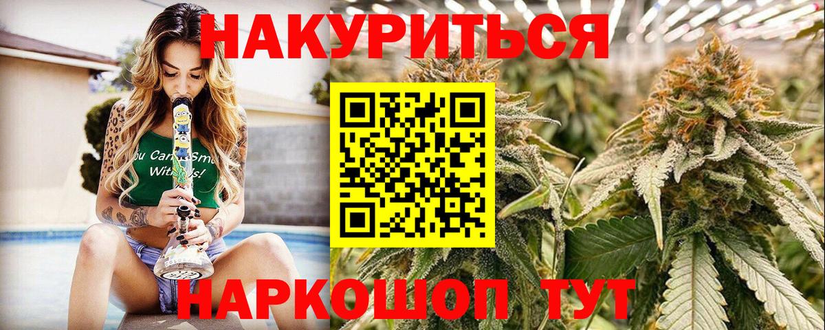 Канабис сатива Астрахань